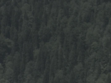 არწივი, დათვი და თხა thumbnail