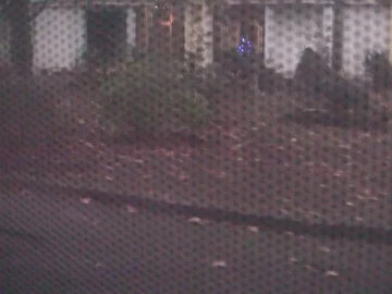 სიზმარი # thumbnail