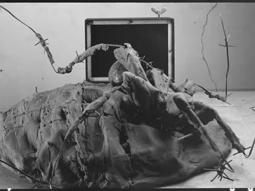 თვალები და ბარიერები (მეტამოფროზა) #1 thumbnail