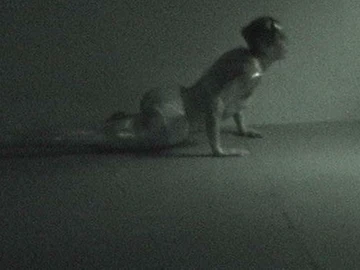 გველთევზა thumbnail