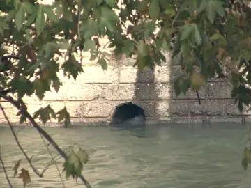 Meter Meter thumbnail