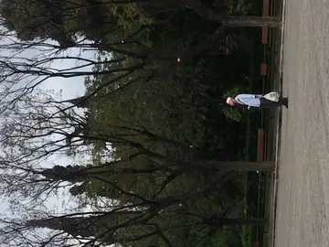 ფრთოსანი რეპტილიები thumbnail