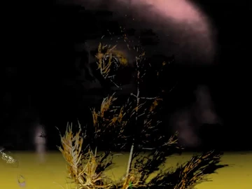 S p i n a c h r i s t I thumbnail